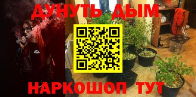 сатива Рыбинск