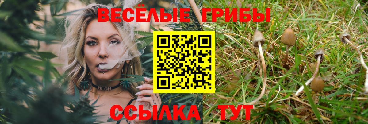Галлюциногенные грибы Cubensis Артёмовский
